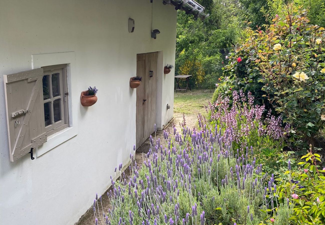 Casa em San Carlos de Bariloche - Casa estilo campo Bramasoles  em Bariloche