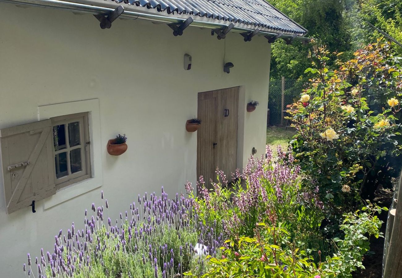 Casa em San Carlos de Bariloche - Casa estilo campo Bramasoles  em Bariloche