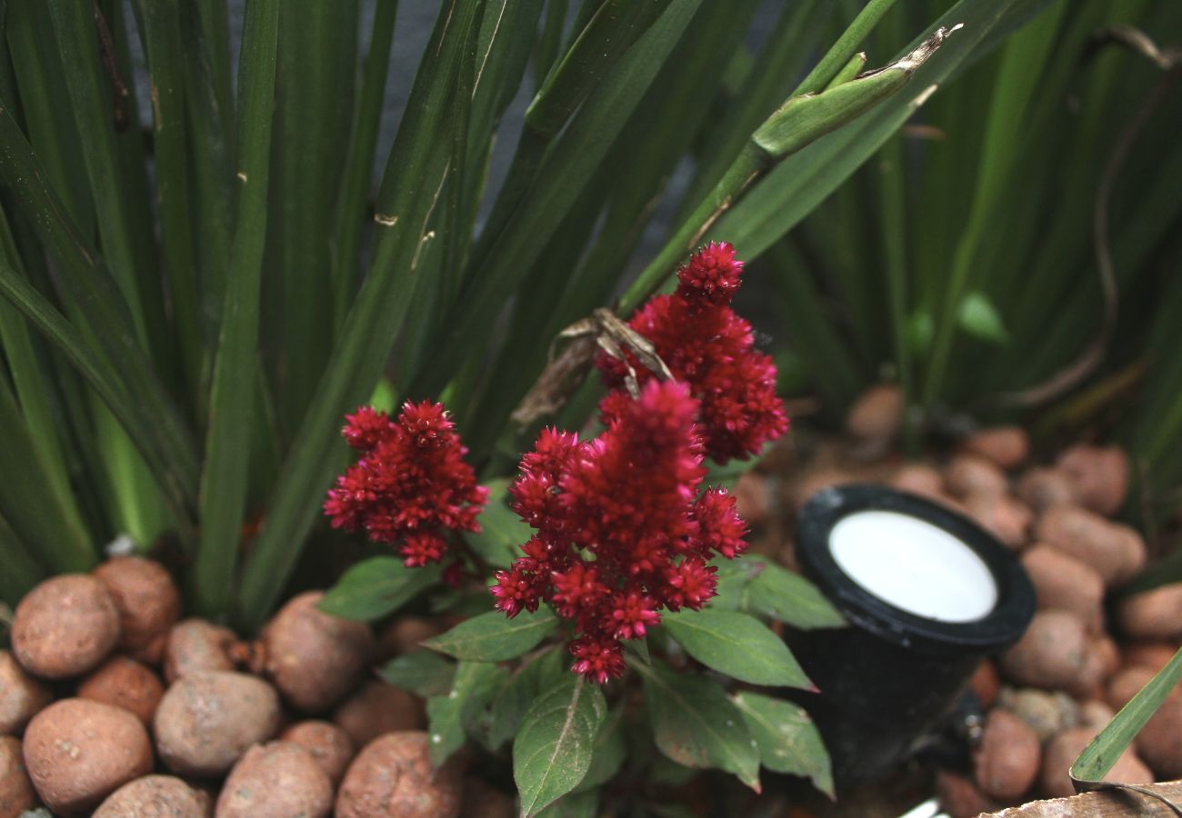 Alquiler por habitaciones en Cabo Frio - Albergue a 1 minuto de la playa | UNR