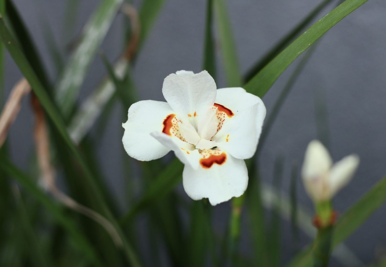 Rent by room in Cabo Frio - Pousada a 1 minuto da praia | UNR