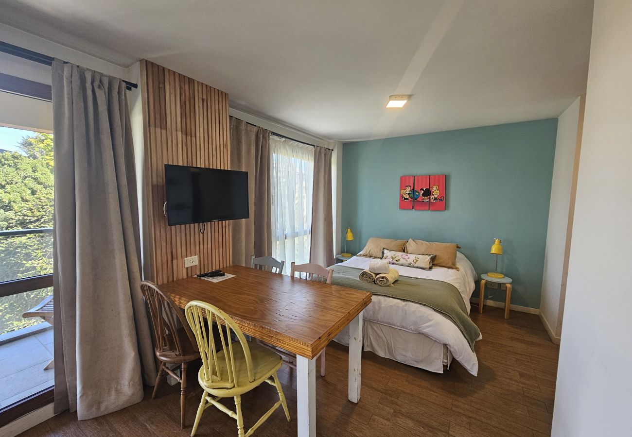 Studio in San Carlos de Bariloche - Mafalda apartment central and well comunication in Bariloche