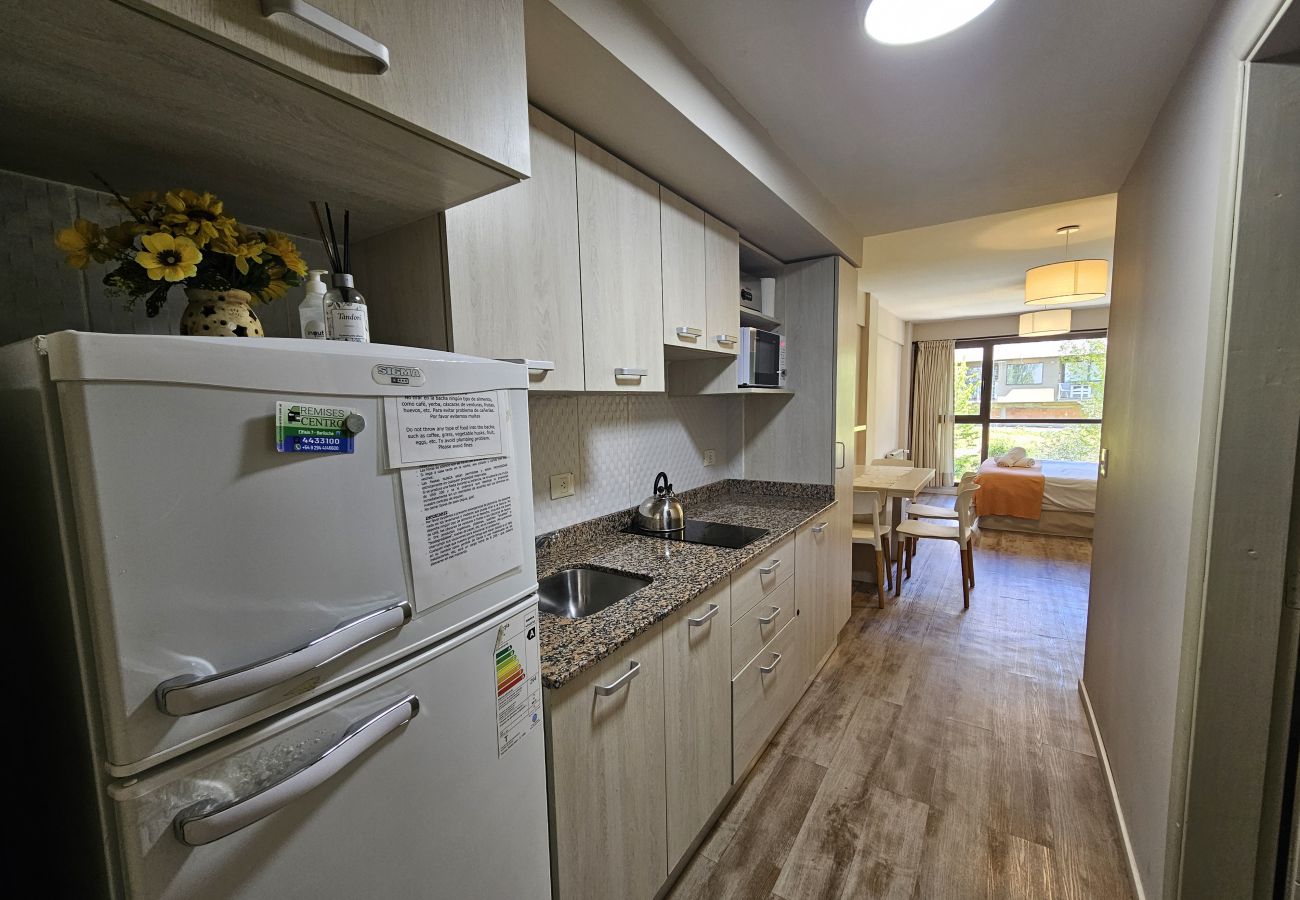 Studio in San Carlos de Bariloche - Paqualino apartment  in down town Bariloche