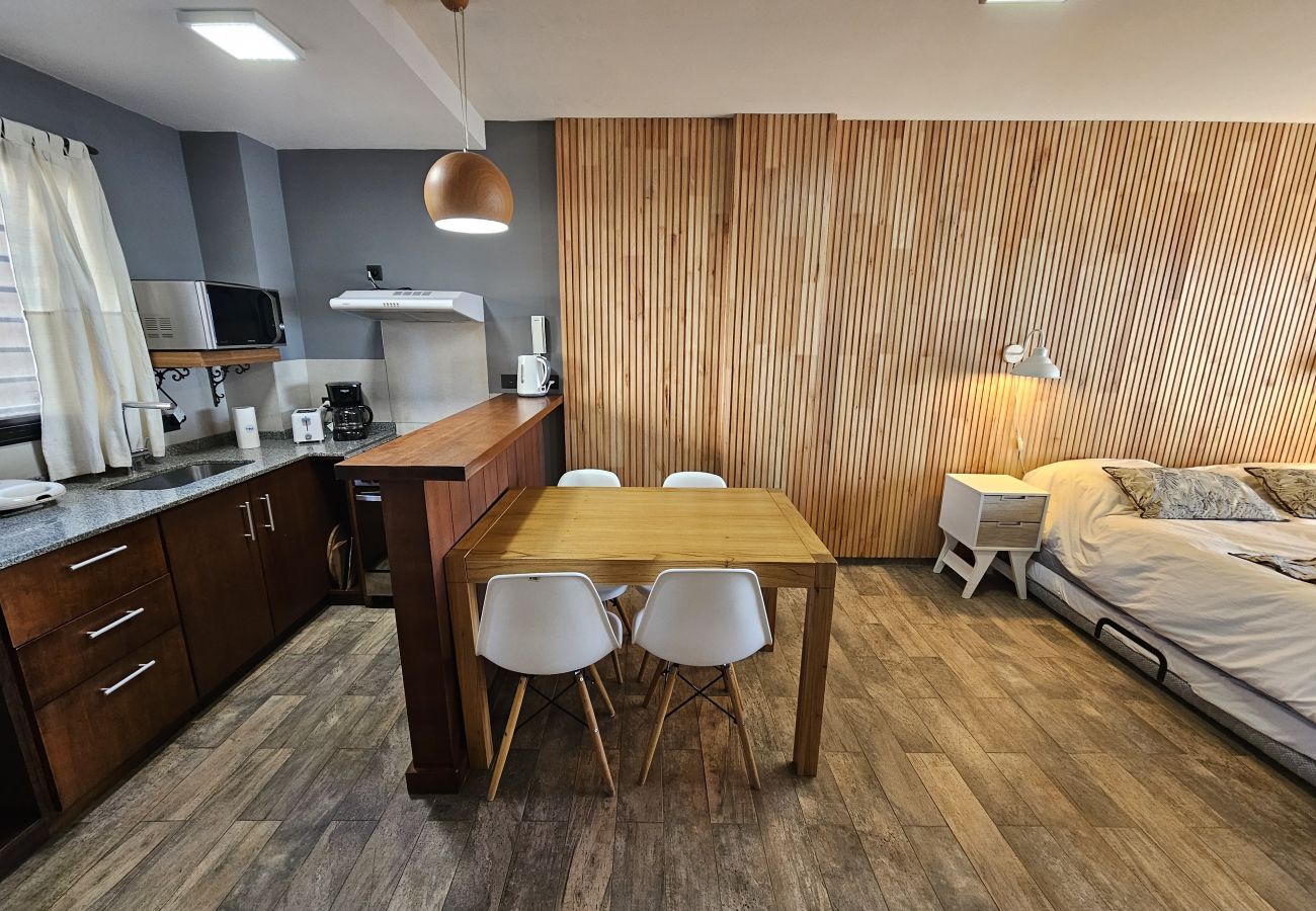 Studio in San Carlos de Bariloche - Suizo I apartment with spectacular lake view Nahuel Huapi