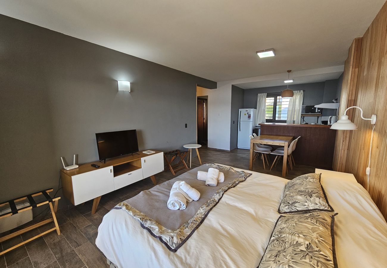 Studio in San Carlos de Bariloche - Suizo I apartment with spectacular lake view Nahuel Huapi