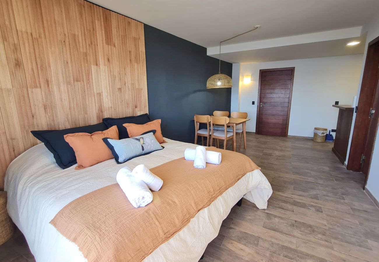 Studio in San Carlos de Bariloche - Swiss IV apartment with an impressive lake view Nahuel Huapi