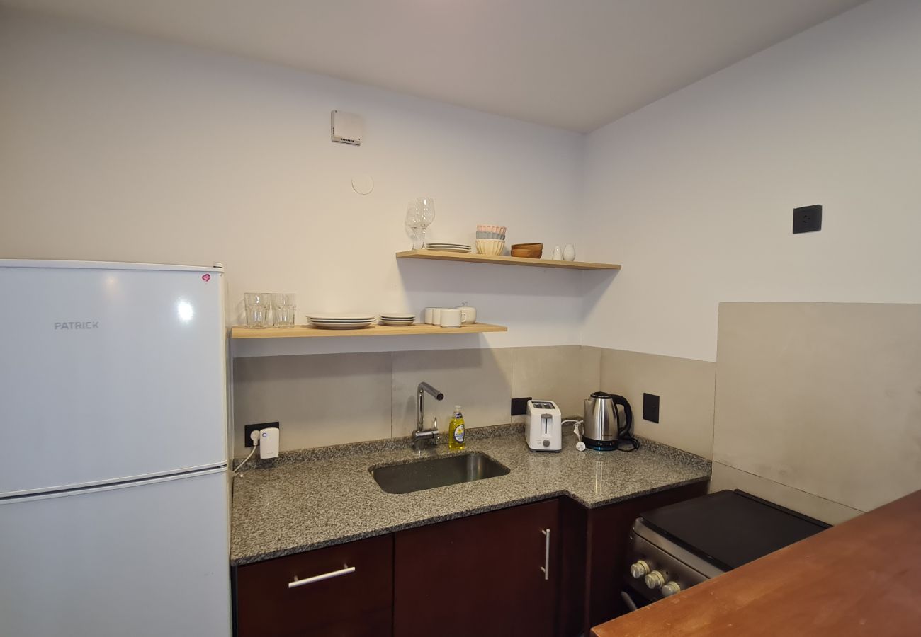 Studio in San Carlos de Bariloche - Swiss IV apartment with an impressive lake view Nahuel Huapi