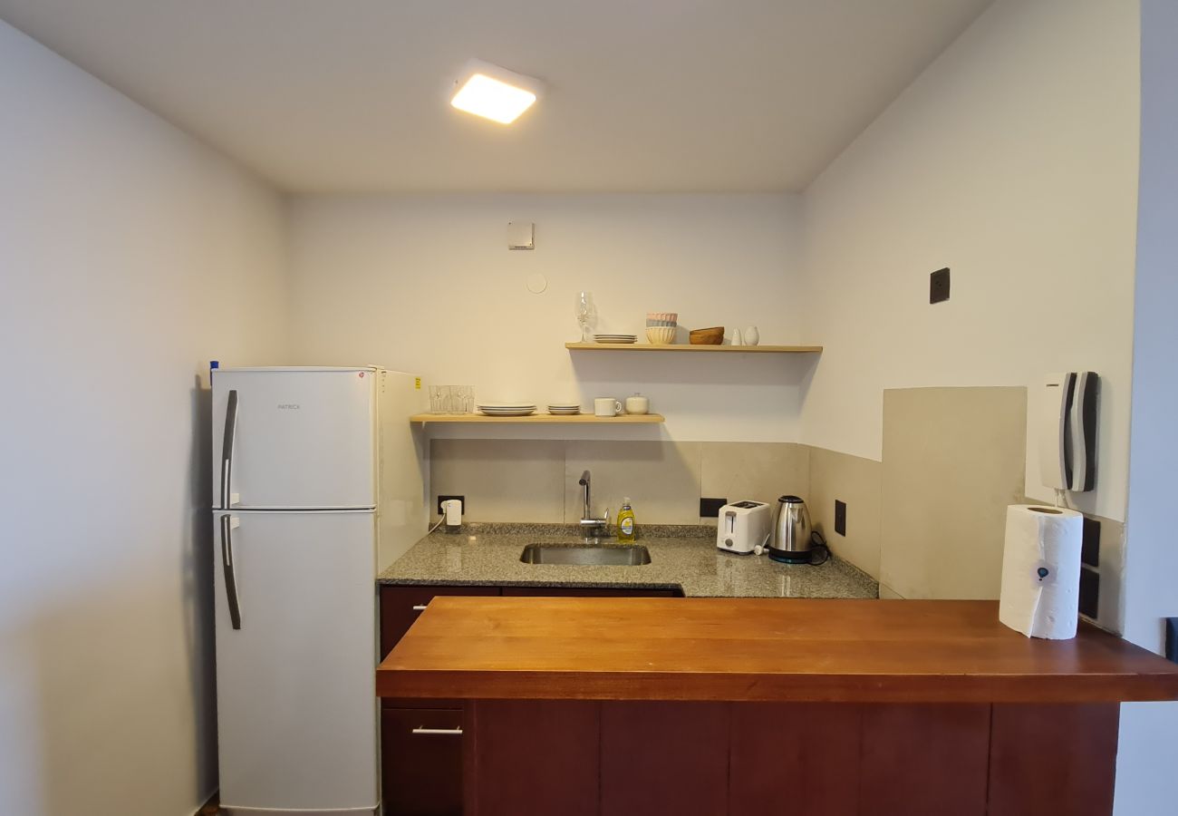 Studio in San Carlos de Bariloche - Swiss IV apartment with an impressive lake view Nahuel Huapi